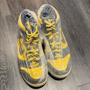 Nike Dunk Hi Pro SB Michigan